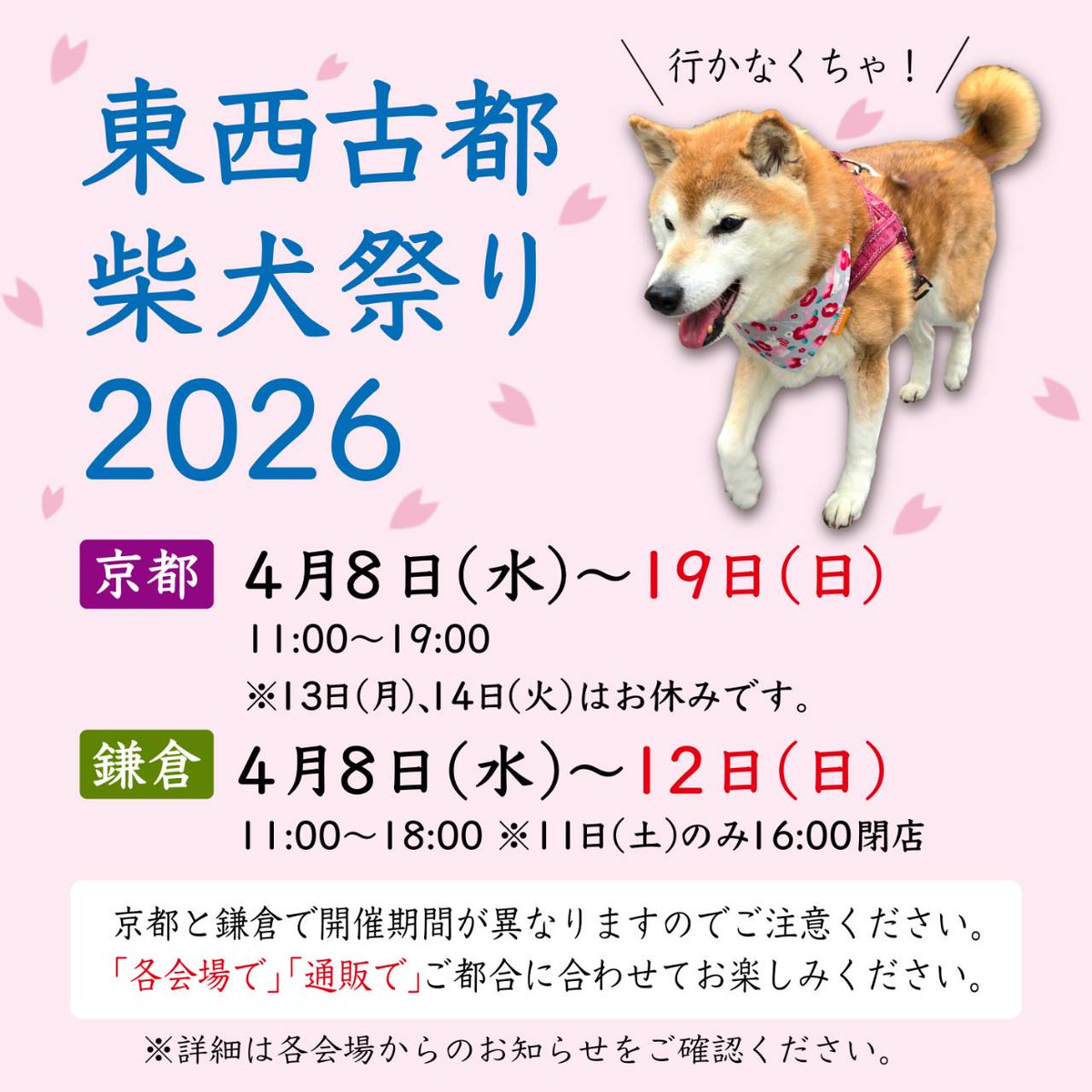 ここ柴 tweet media