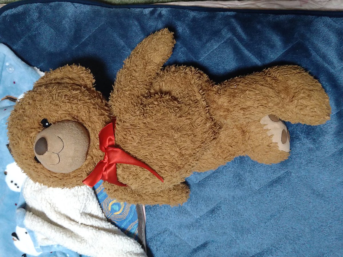 mon（動物［界］脊索動物［mon］哺乳［綱］サル［目］ヒト［科］ヒト［属］ヒト（sapiens)） tweet media