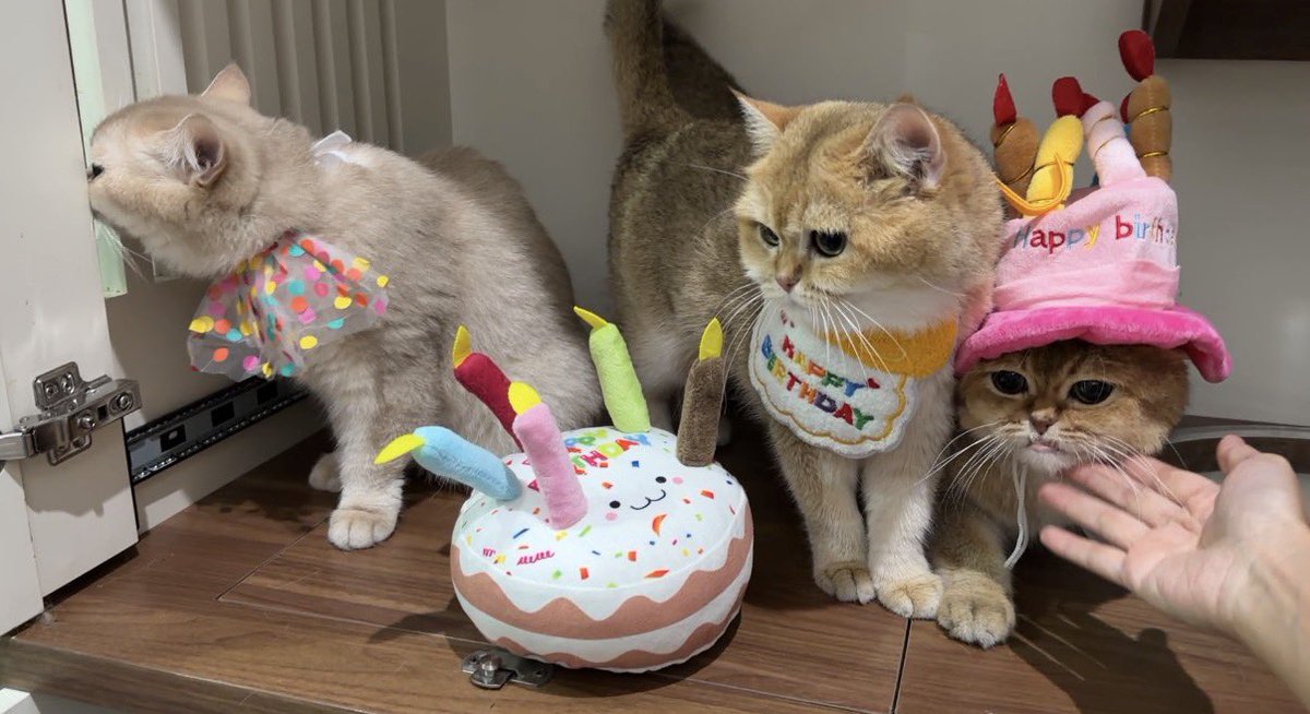 Nastar & Kara tweet media