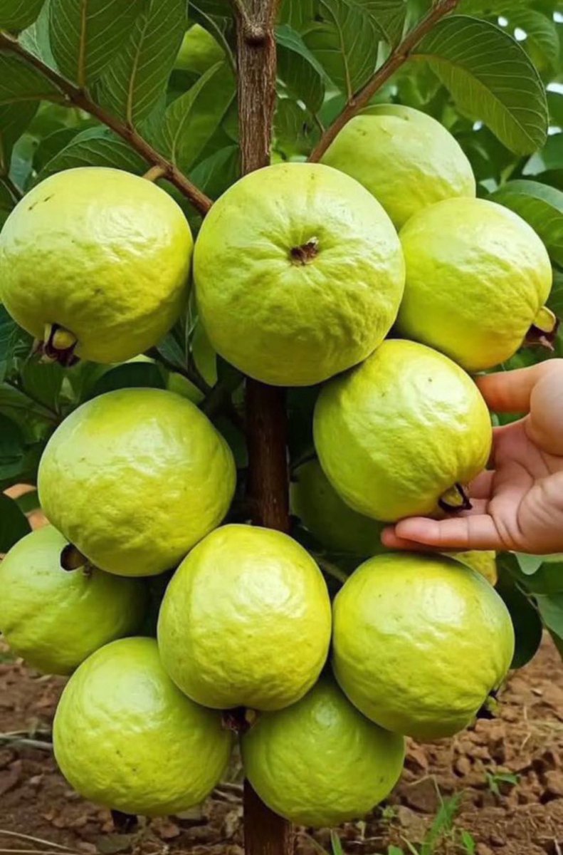 ÅŸ0𝕸Į𝕯Ē💜👟 tweet media