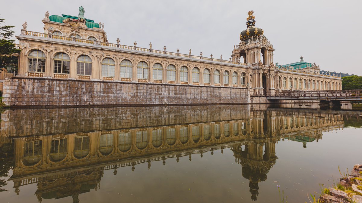 メダカさん tweet media