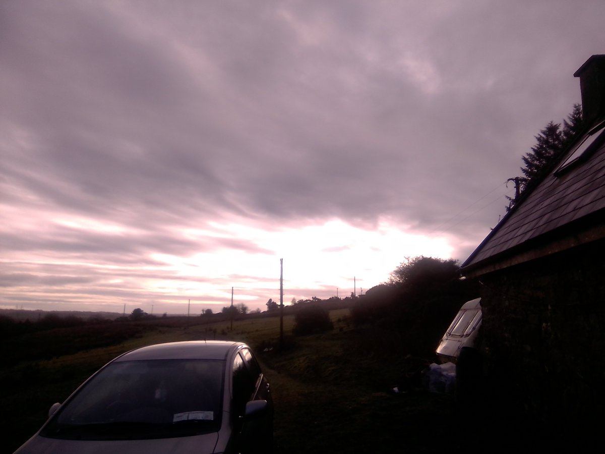 Tess Summers 🏴🇮🇪 tweet media