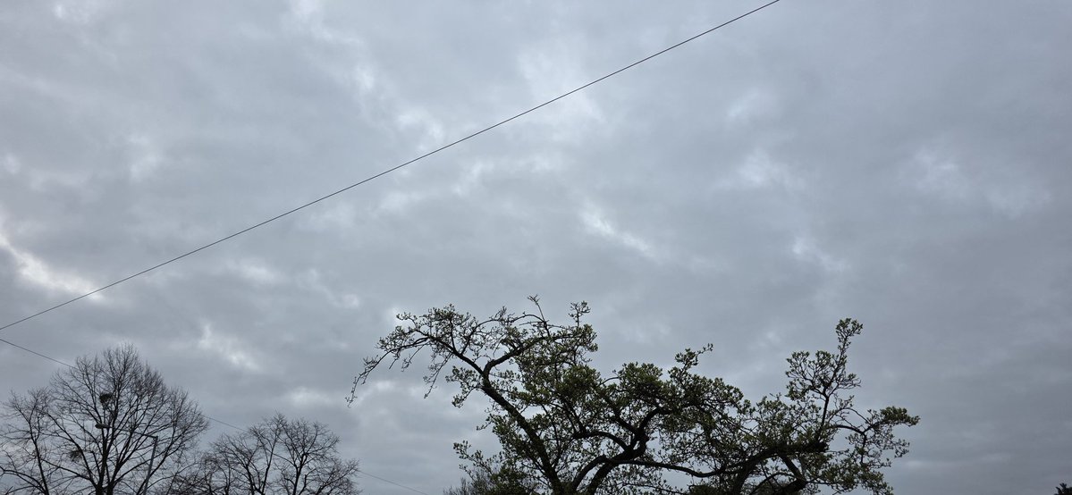 Pedal to the metal tweet media