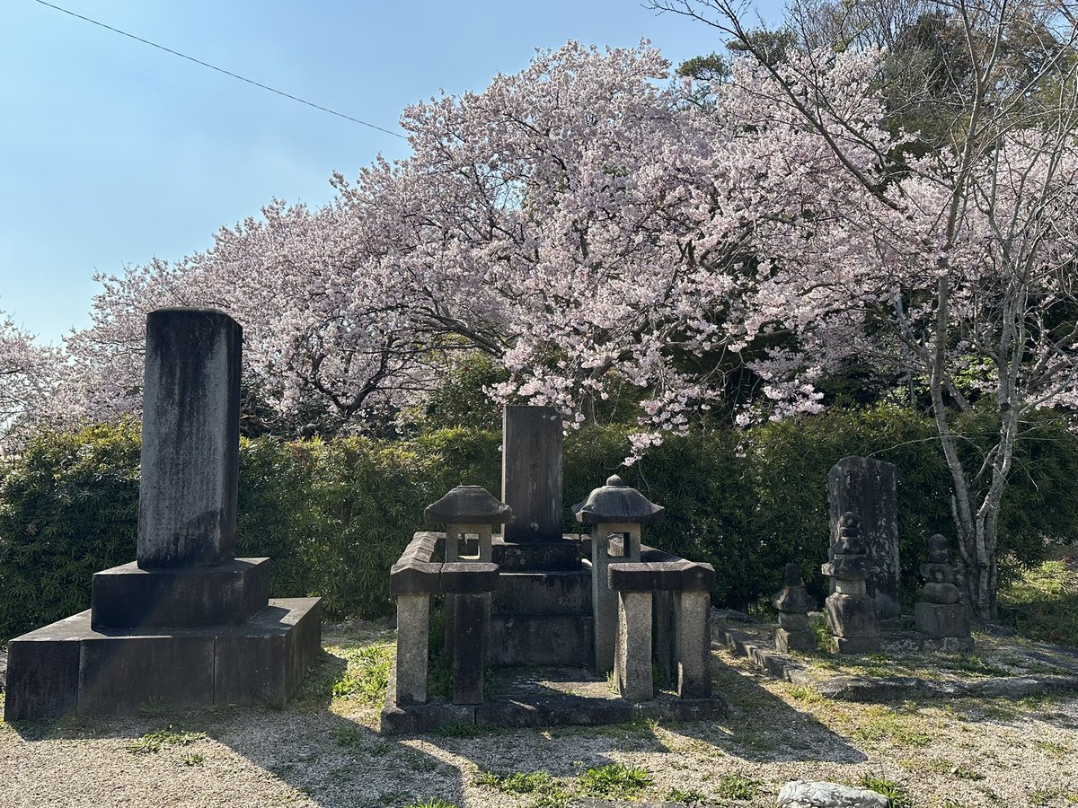 miyabi_neko's tweet photo. 母が花見がしたいというので色々行ってきたー
花岳寺の松井忠次さんのお墓、綺麗だった☺️ https://t.co/GWBt7QciYf