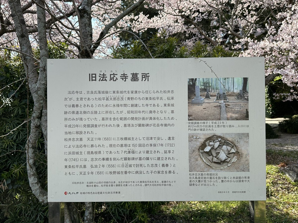 miyabi_neko's tweet photo. 母が花見がしたいというので色々行ってきたー
花岳寺の松井忠次さんのお墓、綺麗だった☺️ https://t.co/GWBt7QciYf