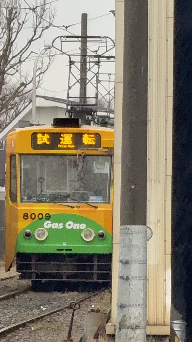 しゅうと(shuuto) tweet media