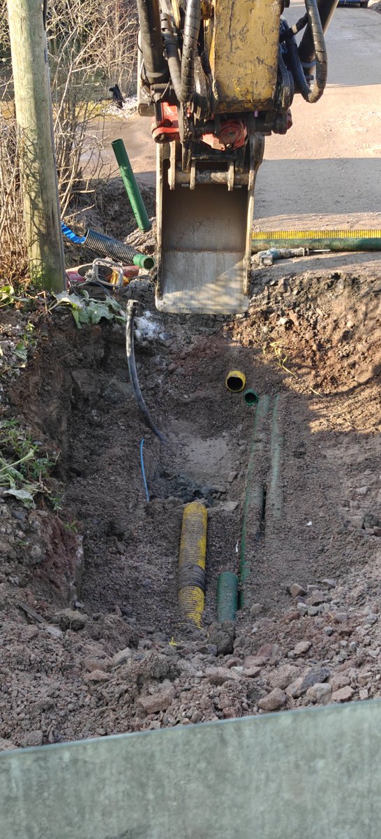 🆂🅾🅸🅽🅸™ 🦝🔥 tweet media