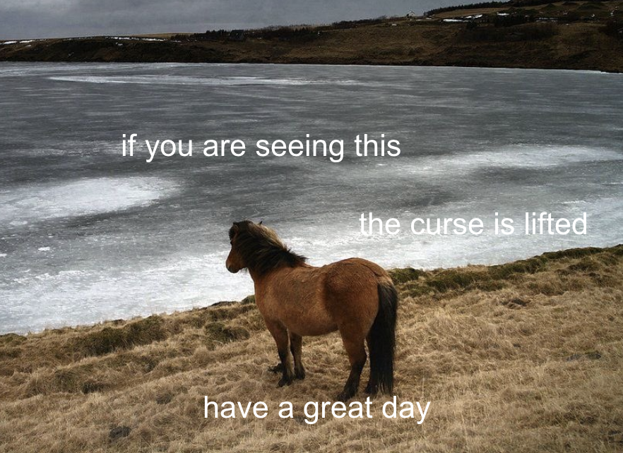 𝑹𝒊𝒏𝒊 • リニ 🐰🍪🐾 tweet media