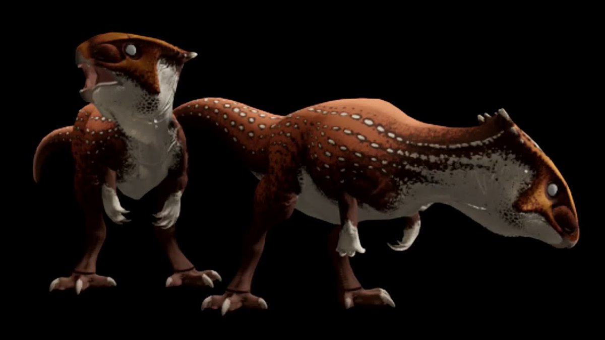 アクロ−Acro@恐竜系実況者 tweet media