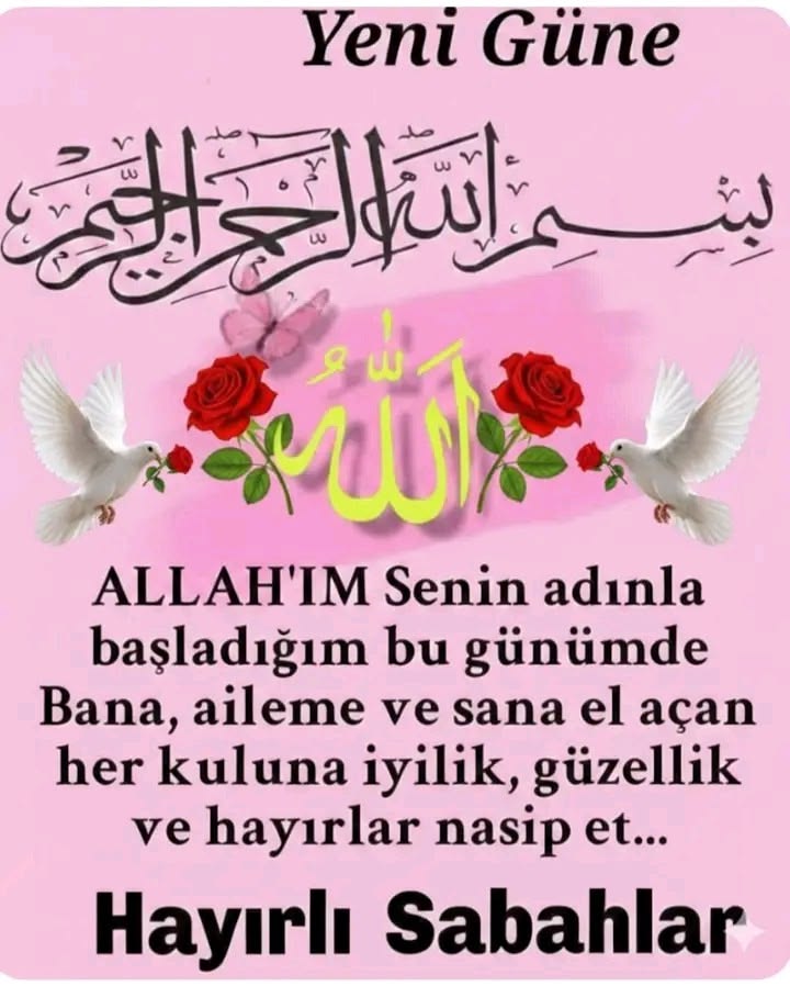 Vatan Millet sevdalısı 🇹🇷 👱‍♀️ tweet media