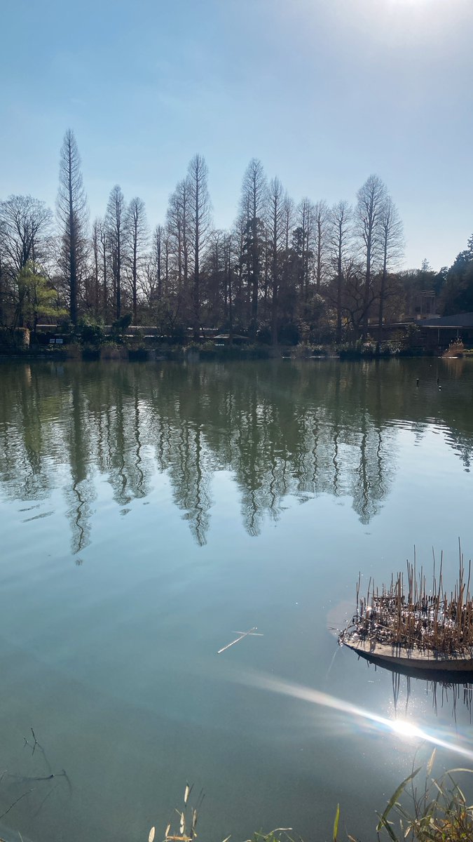 suwasayaka tweet media