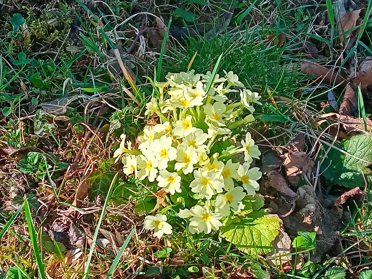 Buongiorno e buona settimana!