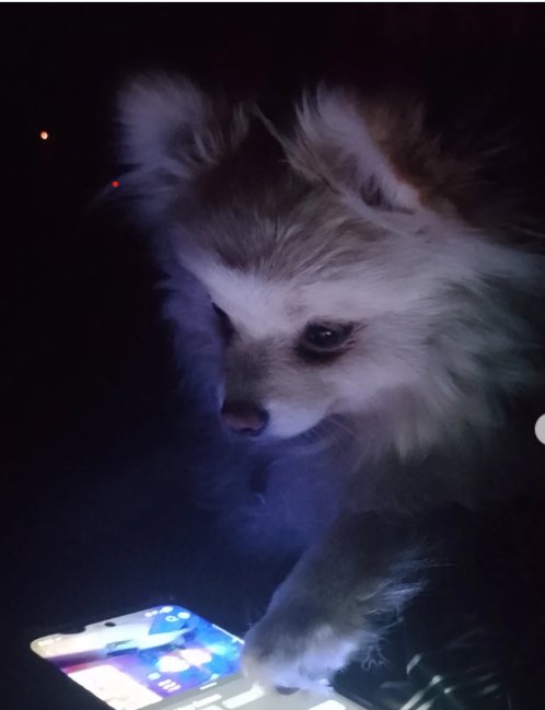 Claudio Sergio tweet media