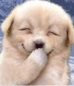 ITZY BASE tweet media