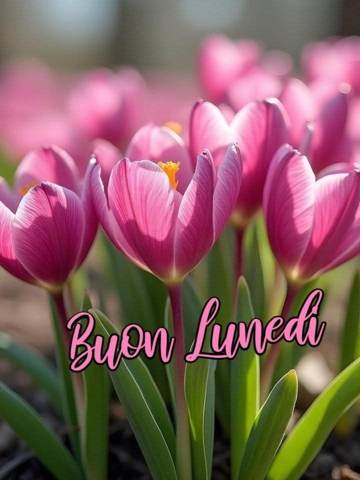 violetviolet tweet media