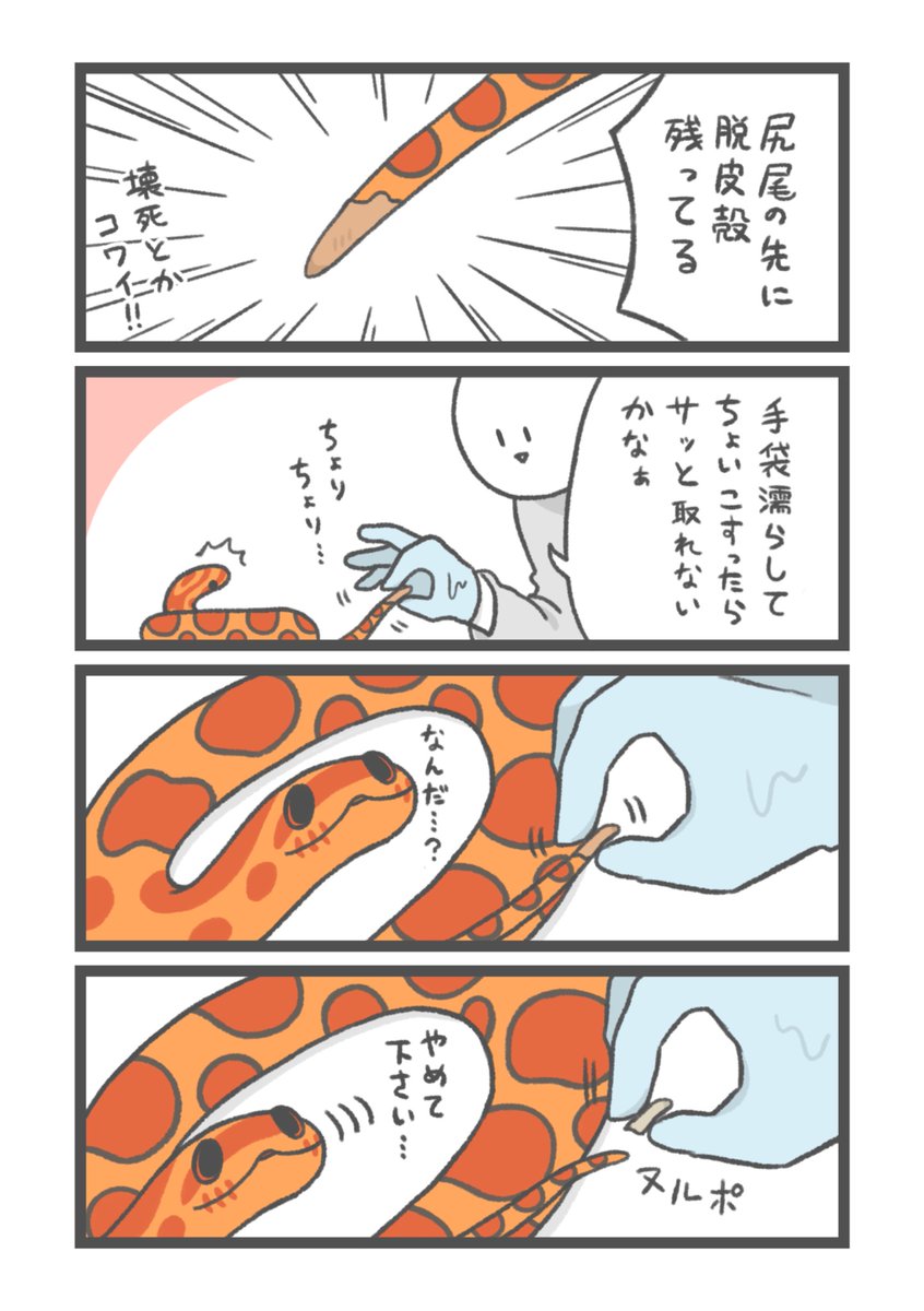 お祭り騒ぎ tweet media