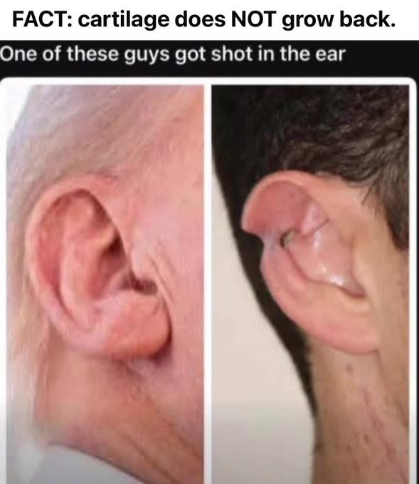 RedDragon tweet media