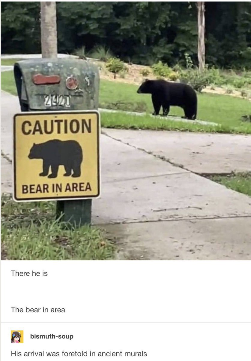 Axl Bobbyrod tweet media