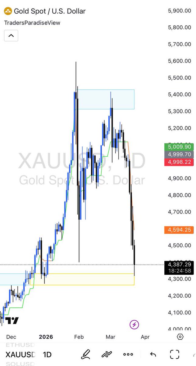 Traders Paradise tweet media