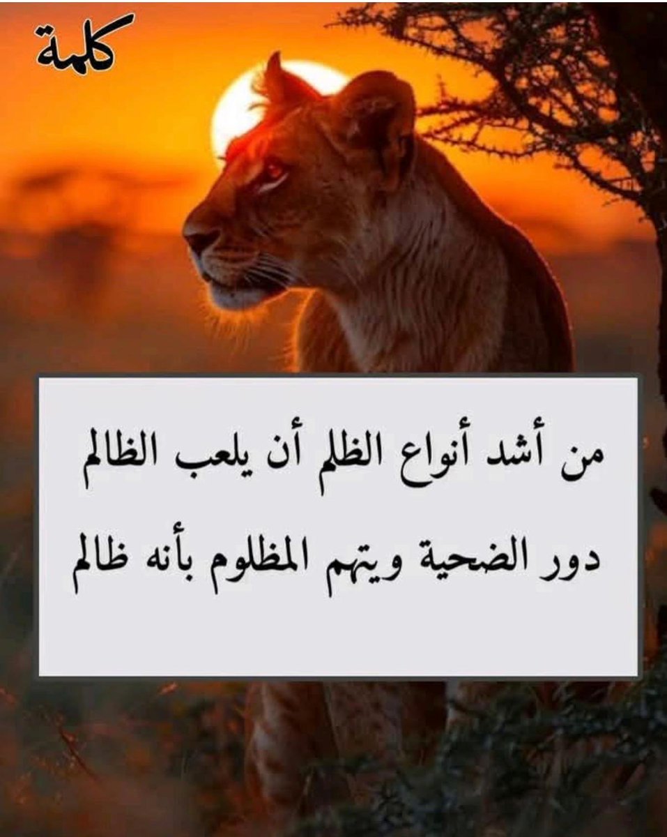 قمر (@sabrina_298) on Twitter photo 