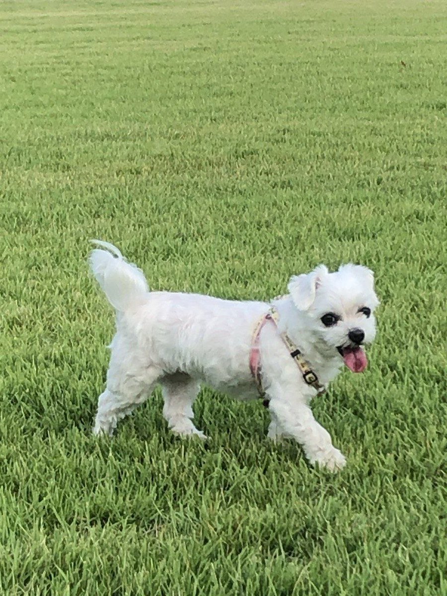 권영국 tweet media