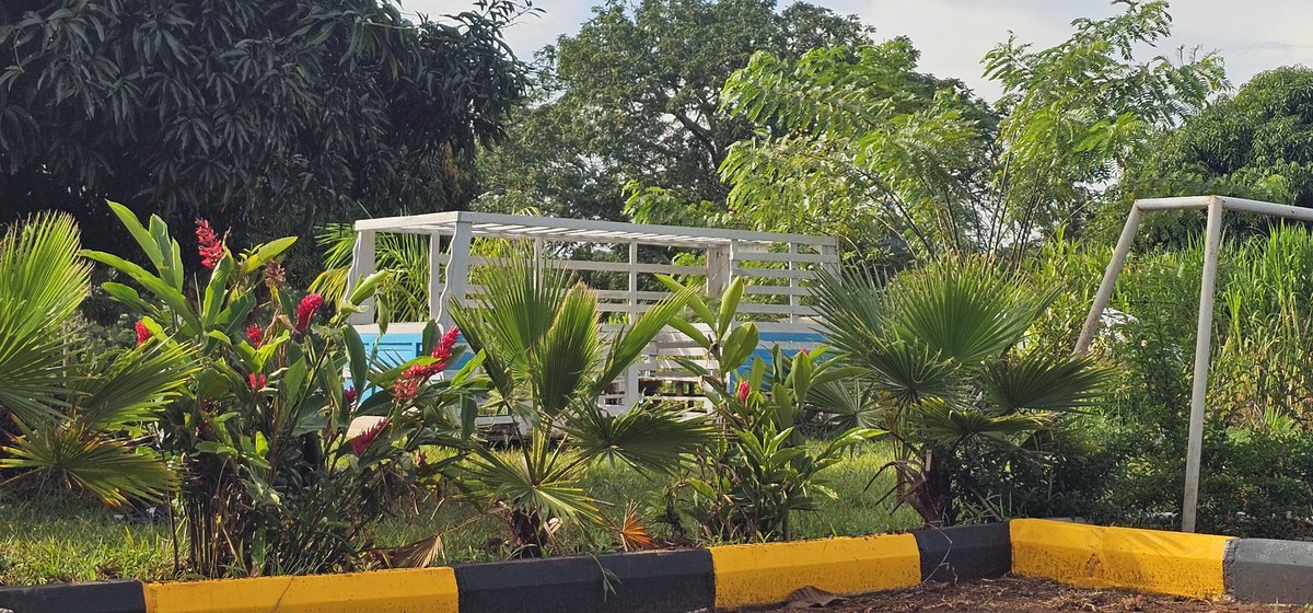 Kazibwe Bashir Mbaziira tweet media