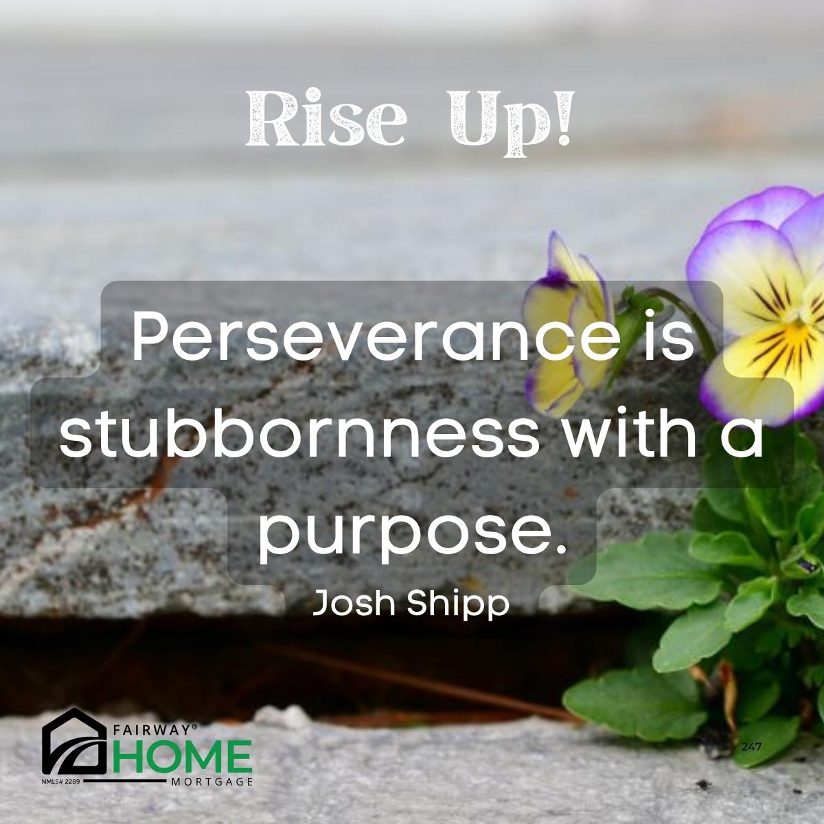 Louise Thaxton tweet media