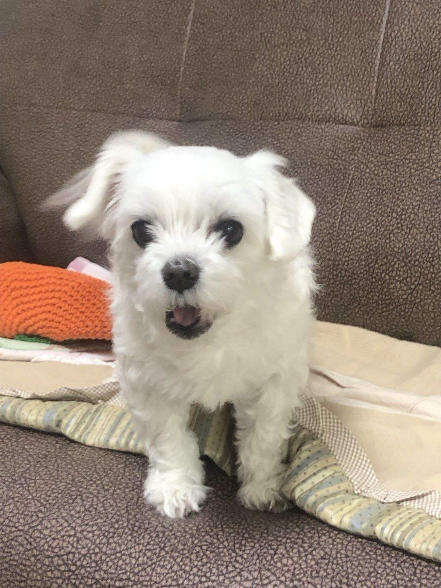 권영국 tweet media