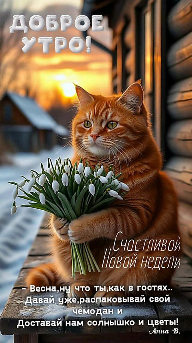 Елисеев Николай tweet media