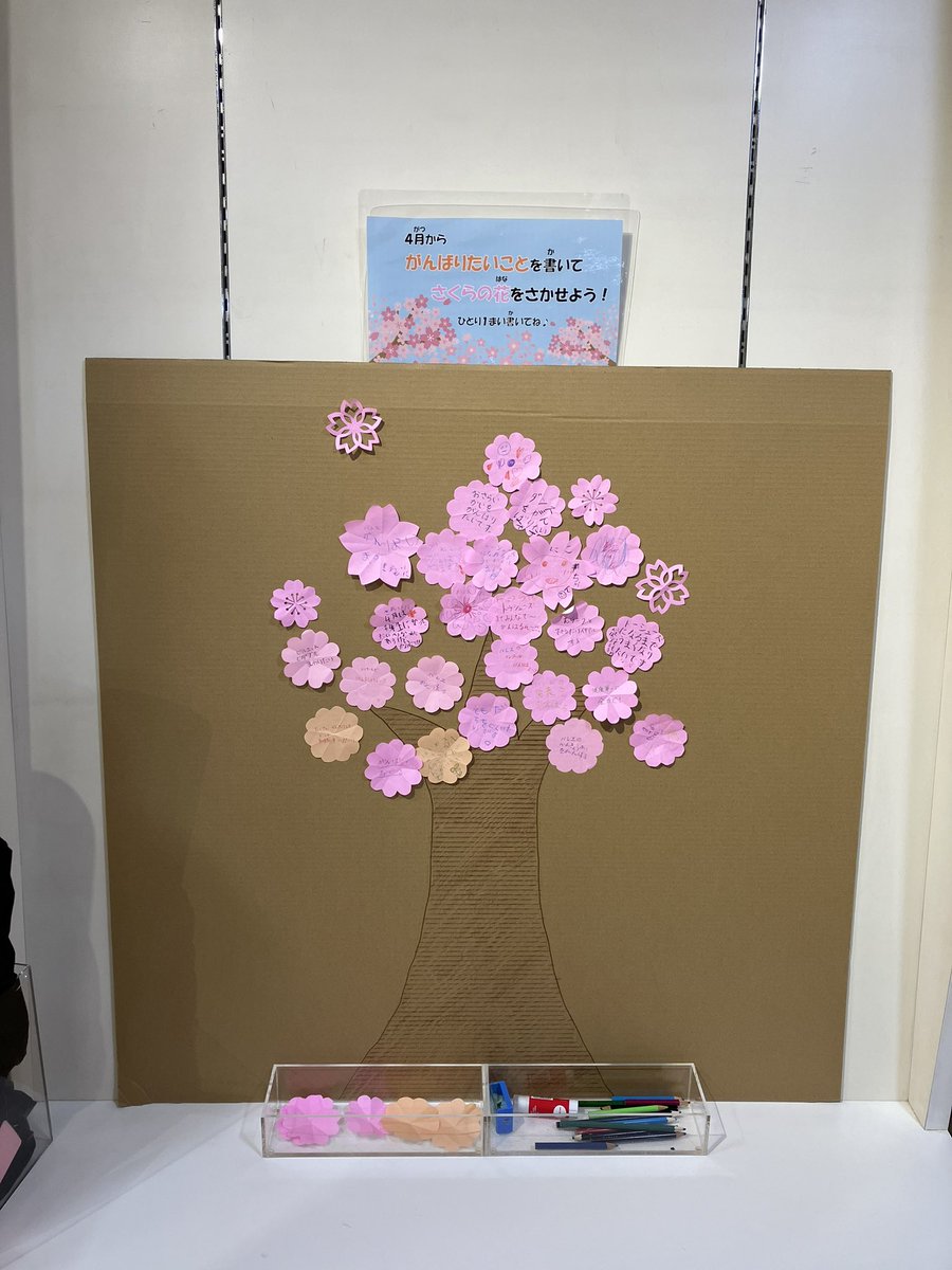 ChacottKobe's tweet photo. 【イベント】

だんだんと、暖かくなってきましたね🩰

卒業式を迎えられた皆様、おめでとうございます。

チャコット神戸店でも、春に向けて桜コーナーをご用意しております🌸
早速たくさんのお花が咲き始めていますが、引き続き皆様の目標や夢で満開にしてください！

ご来店をお待ちしております🫧 https://t.co/oWAgUj88RB