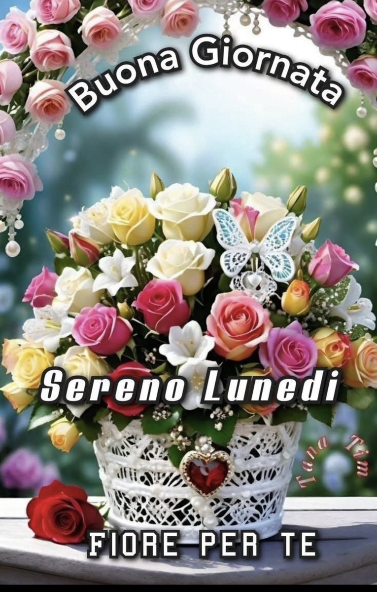 Meroni Daniele tweet media