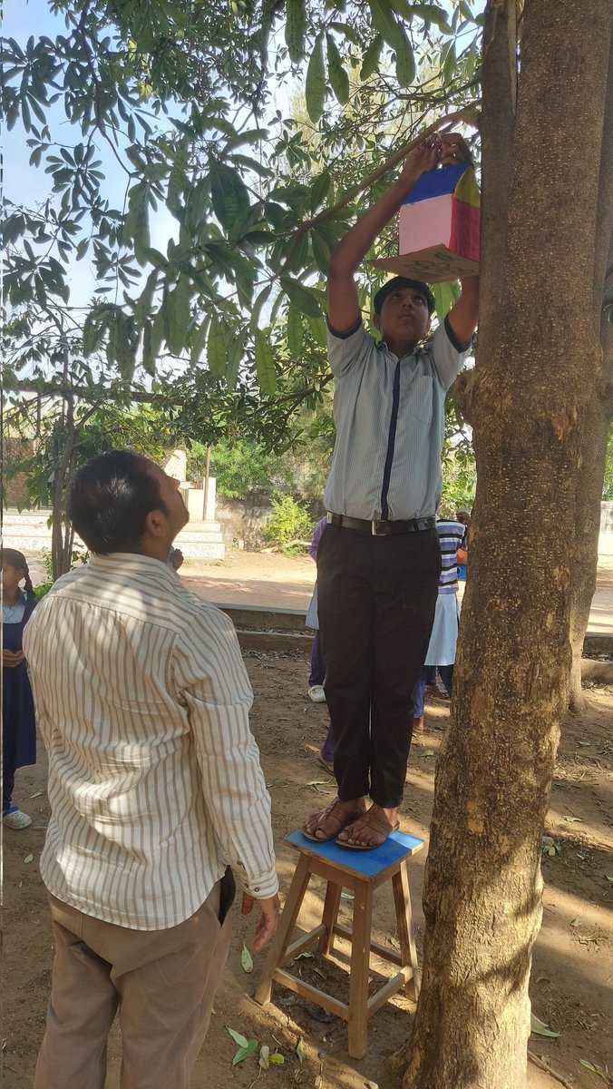 SK_ip_lab's tweet photo. “On the occasion of World Sparrow Day, an activity was conducted in the school in which students made sparrow nests and installed them on trees.”#worldsparrowday #gujcost #iplabsk  #cscsabarkantha https://t.co/5ca8Mx2kqU