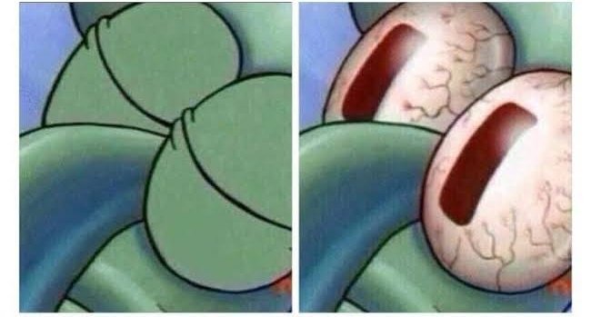 tibúrcio🐬 𝕏 tweet media