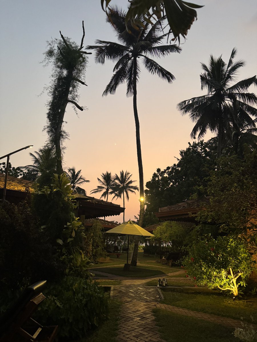 sonoka ｜Featured Projects tweet media