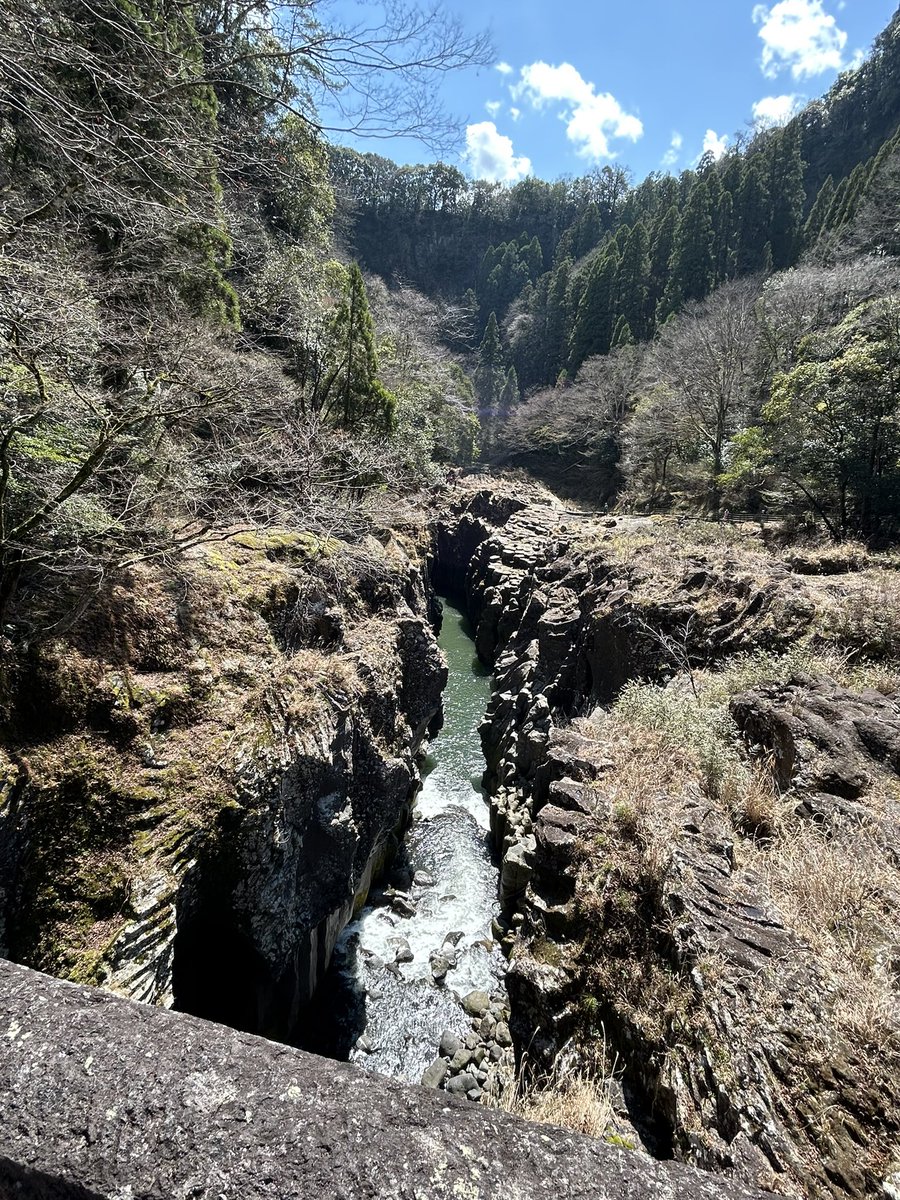 Marcel ✌ tweet media