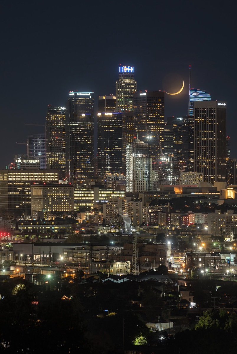 Brandon Yoshizawa tweet media