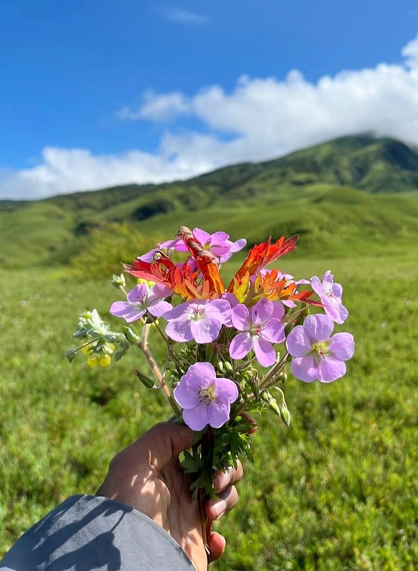 iamsayedul tweet media