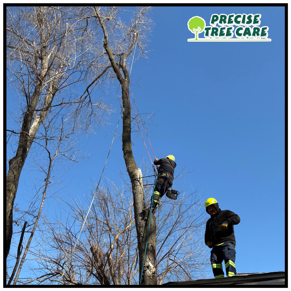 PreciseTreeCare's tweet photo. Strong work from the crew getting ahead of severe weather season 🌳

Call or text 815-464-3777 or 815-534-6838
https://t.co/wsaz49iL1Z

Precise Tree Care, keeping your property safe and your mind at ease. https://t.co/E49Ri9oZZn