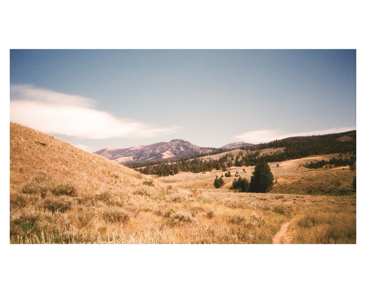 Elusive_Yeti's tweet photo. @HighwayyChild Man I loved Yellowstone https://t.co/4nw8zlSVSX