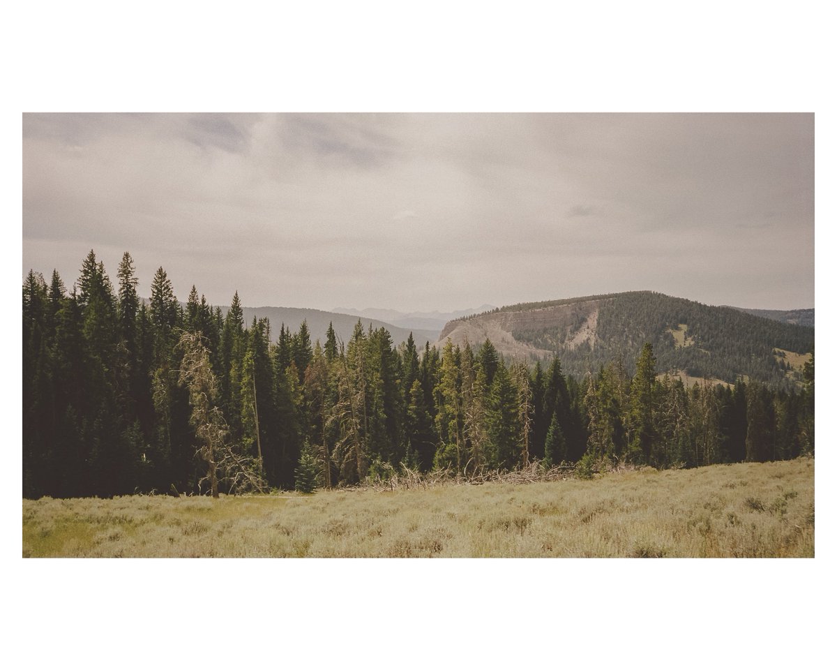 Elusive_Yeti's tweet photo. @HighwayyChild Man I loved Yellowstone https://t.co/4nw8zlSVSX