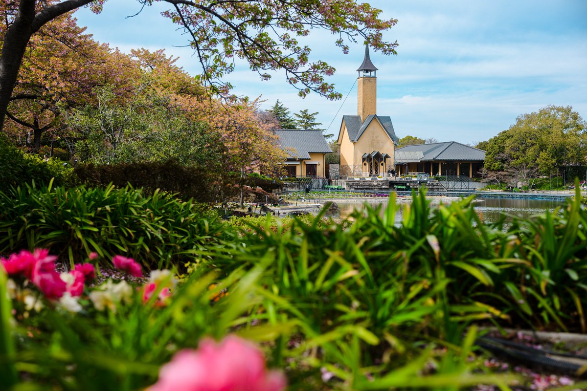 うめｪ tweet media