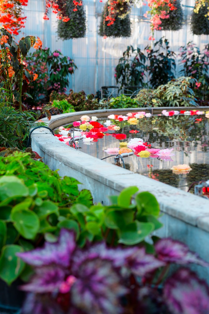 うめｪ tweet media