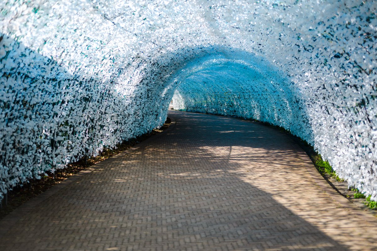 うめｪ tweet media