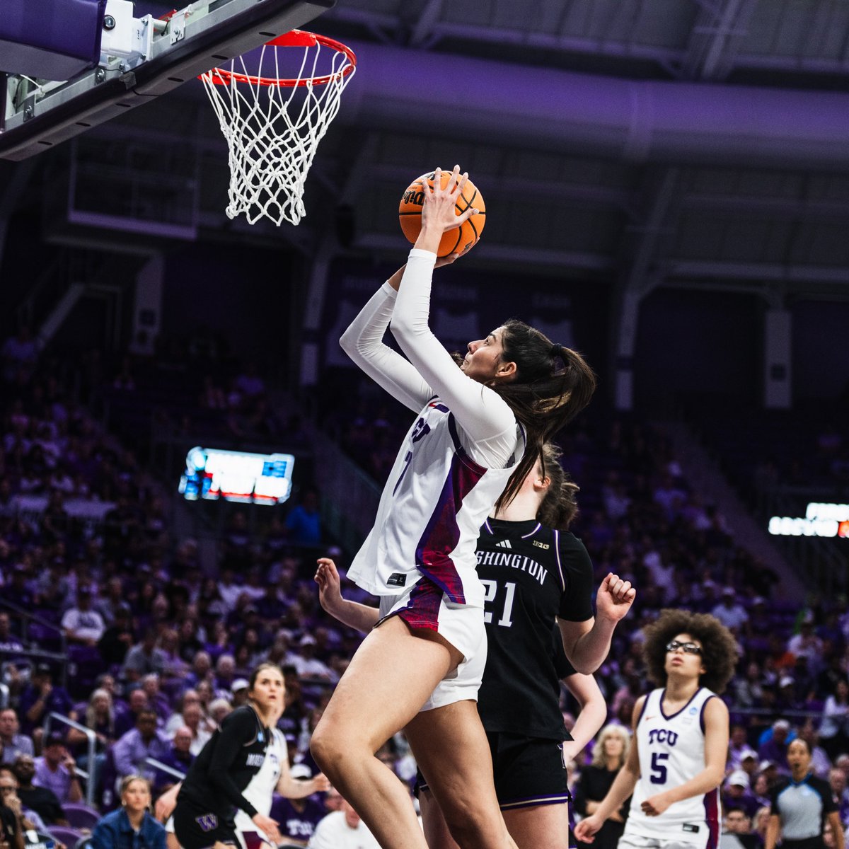 Nick Girimonte tweet media