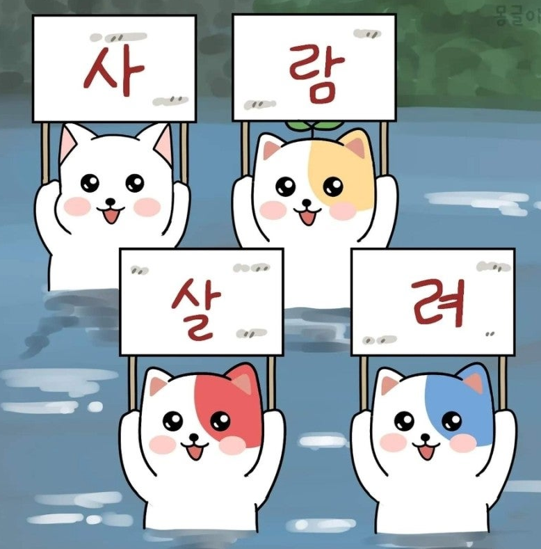 설 On day tweet media