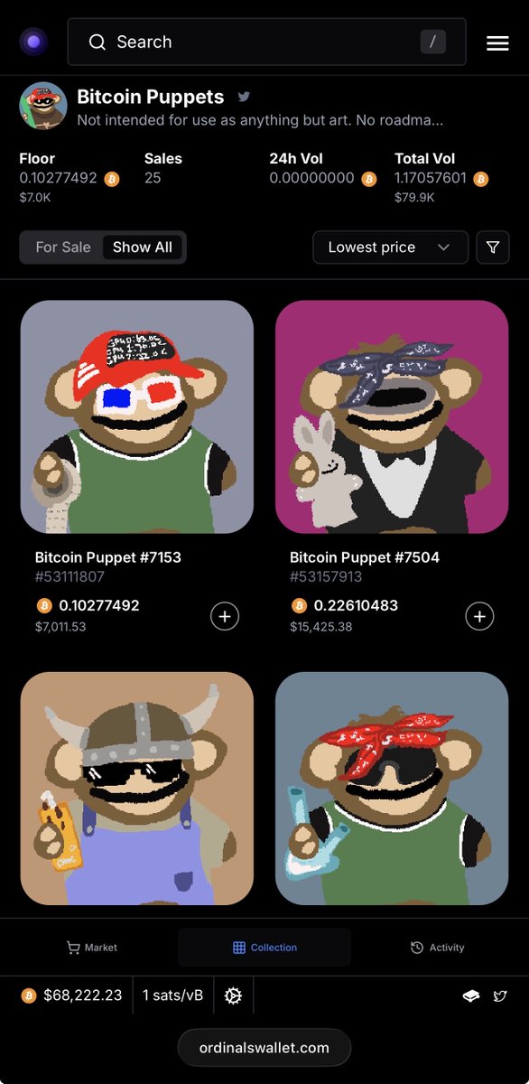 shira.sats tweet media