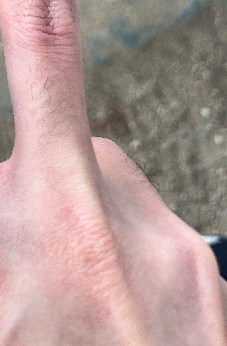 Keith DEAD AND 7TH YEAR 𐔌՞. .՞𐦯 tweet media