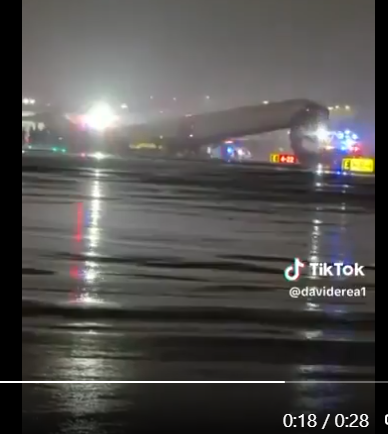 Pam Rotella tweet media