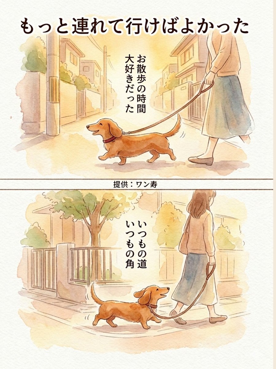 わんわん物語@ワン寿 tweet media