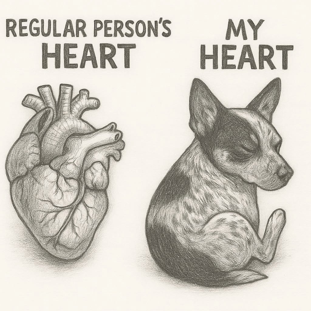AndiPatel90255's tweet photo. 👑🐶https://t.co/JKwJfB6O55
#zoophillia #beastmode #dogslut #zoophobia #beastiality #k9love
#dogknot https://t.co/mzUKjL2hWw
